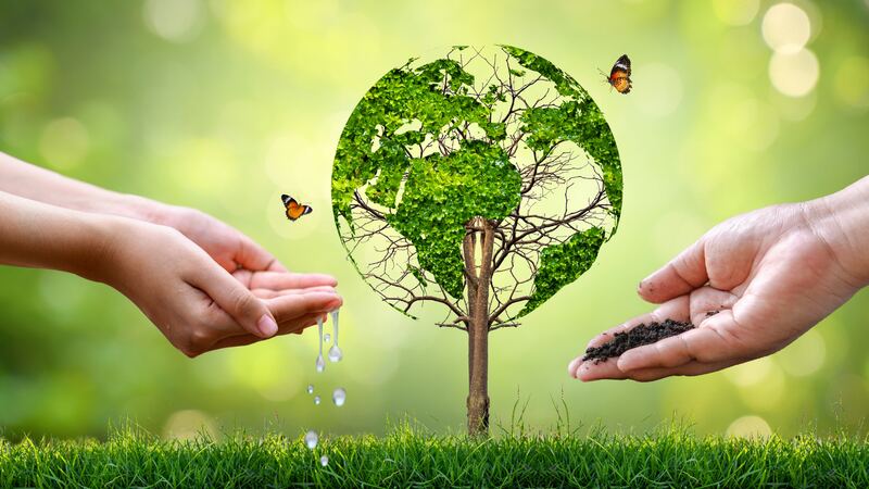 Medioambiente