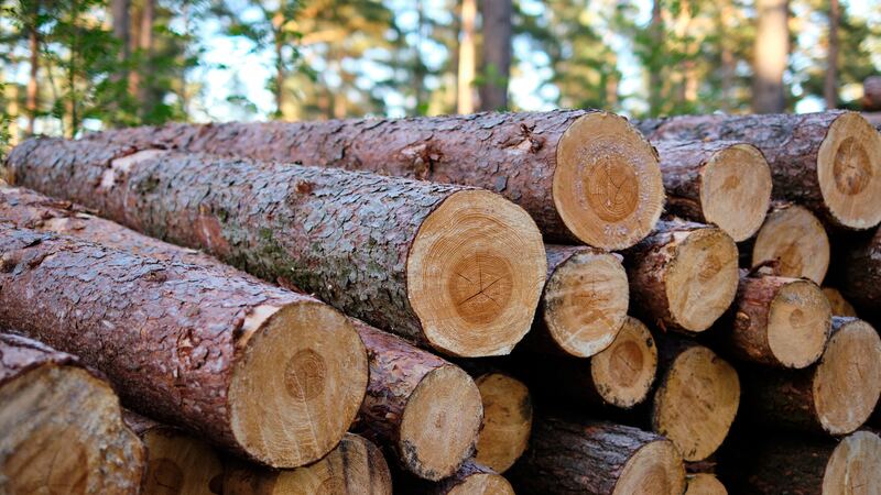 Forestal